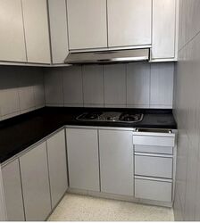 Evergreen View (D14), Apartment #571393751